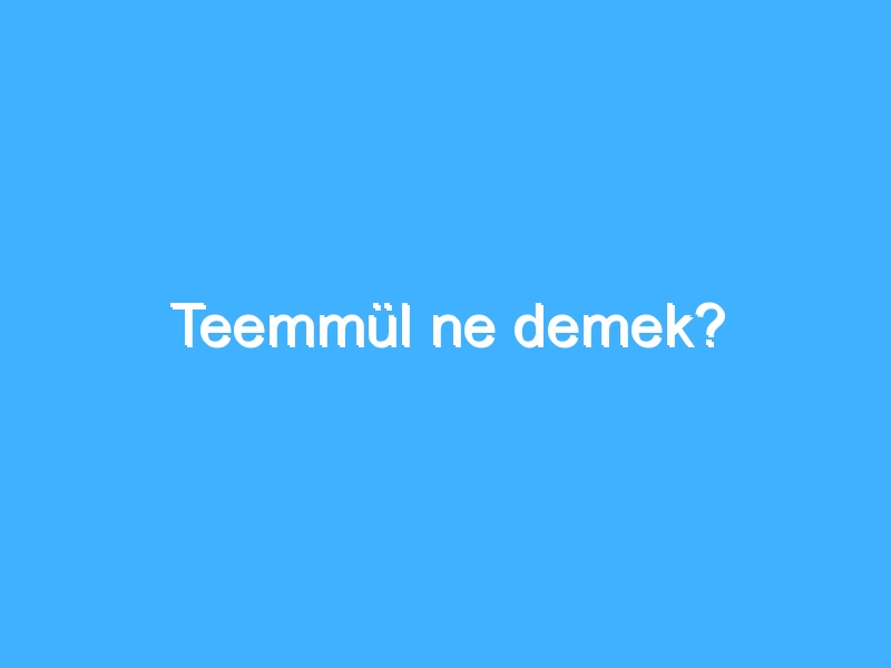Teemmül ne demek? 1 Teemmül ne demek?