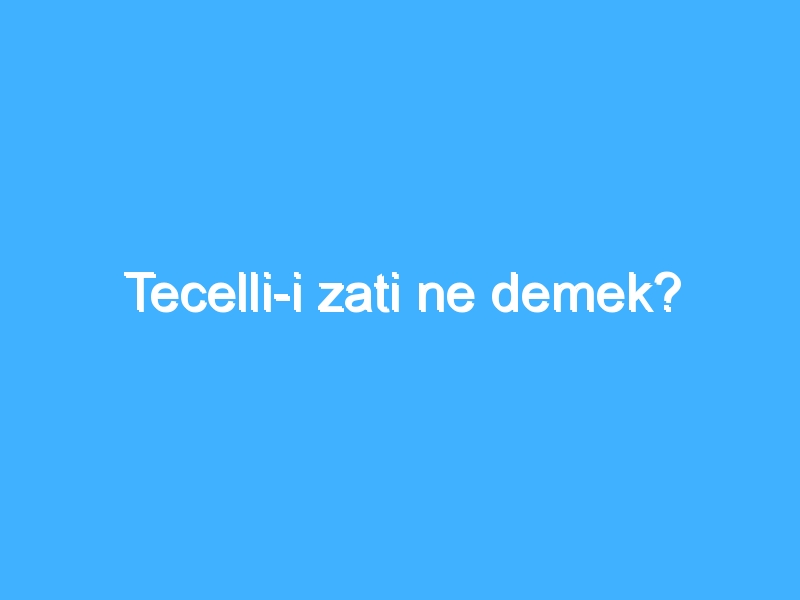 Tecelli-i zati ne demek? 1 Tecelli-i zati ne demek?