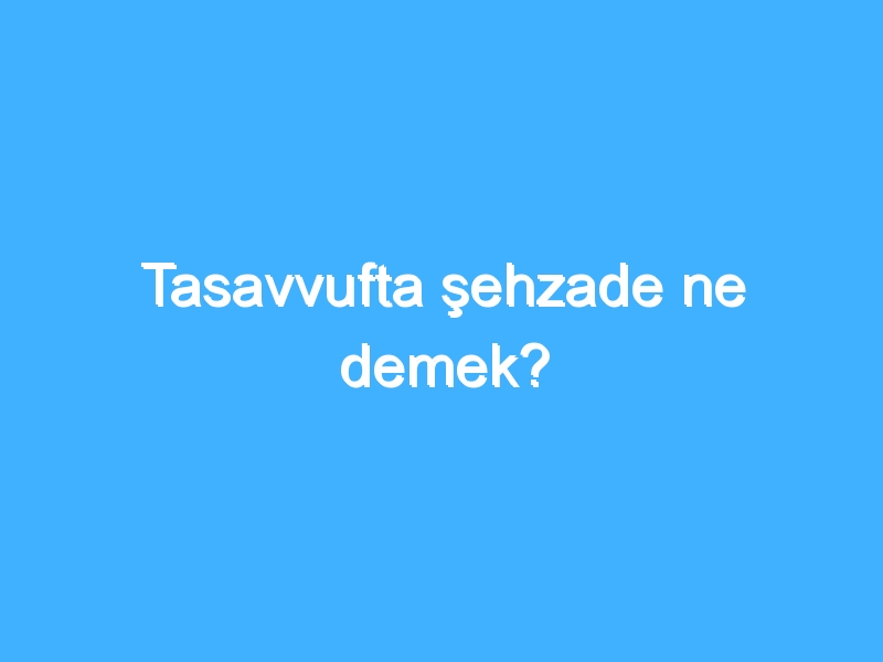 Tasavvufta şehzade ne demek? 1 Tasavvufta şehzade ne demek?