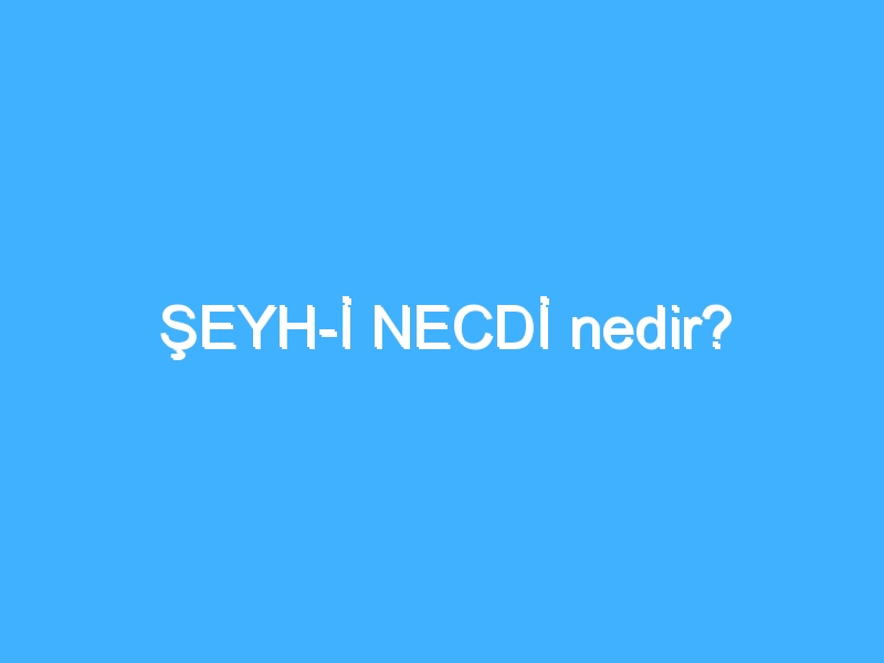 ŞEYH-İ NECDİ nedir? 1 ŞEYH-İ NECDİ nedir?
