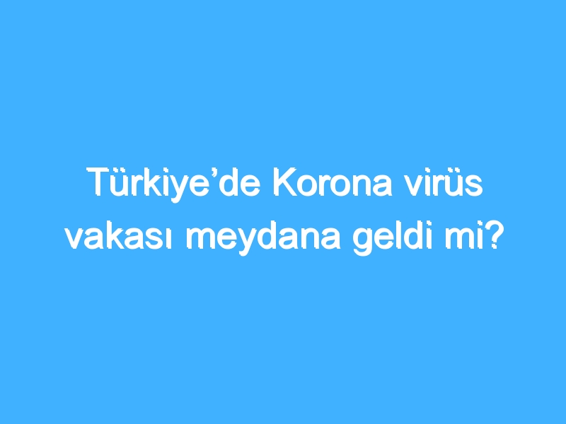 Türkiye’de Korona virüs vakası meydana geldi mi?