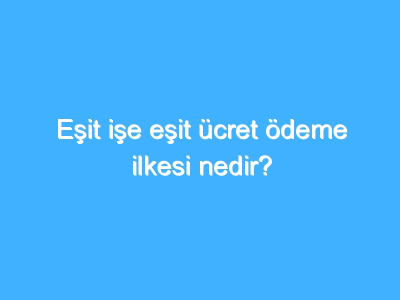 Eşit işe eşit ücret ödeme ilkesi nedir? 1 Eşit işe eşit ücret ödeme ilkesi nedir?