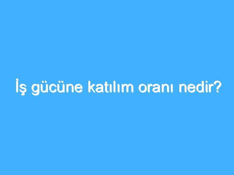 İş gücüne katılım oranı nedir? 1 İş gücüne katılım oranı nedir?