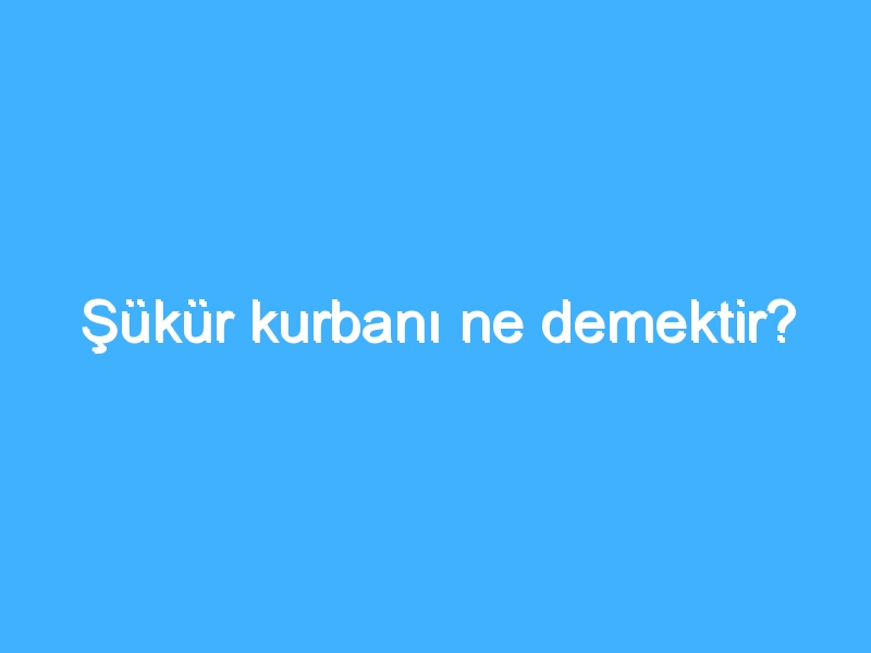 Şükür kurbanı ne demektir? 1 Şükür kurbanı ne demektir?