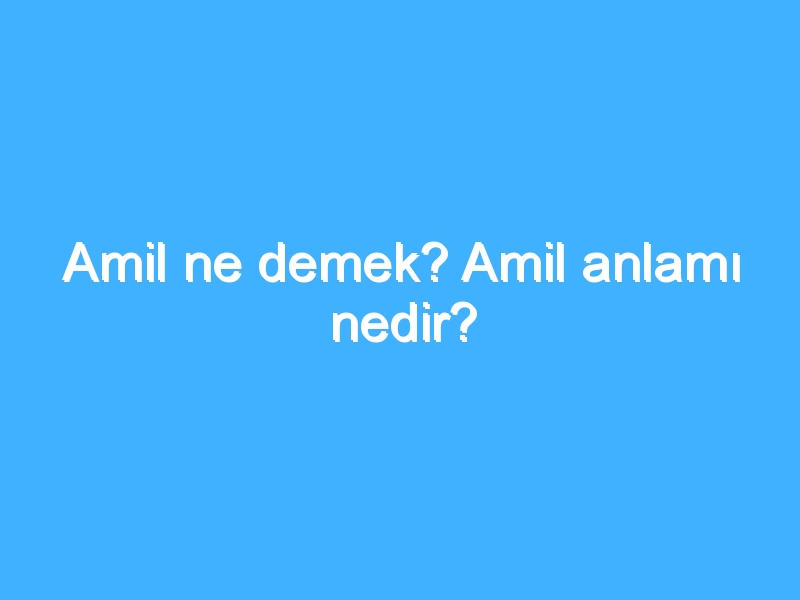 Amil ne demek? Amil anlamı nedir?