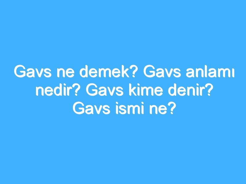 Gavs ne demek? Gavs anlamı nedir? Gavs kime denir? Gavs ismi ne?