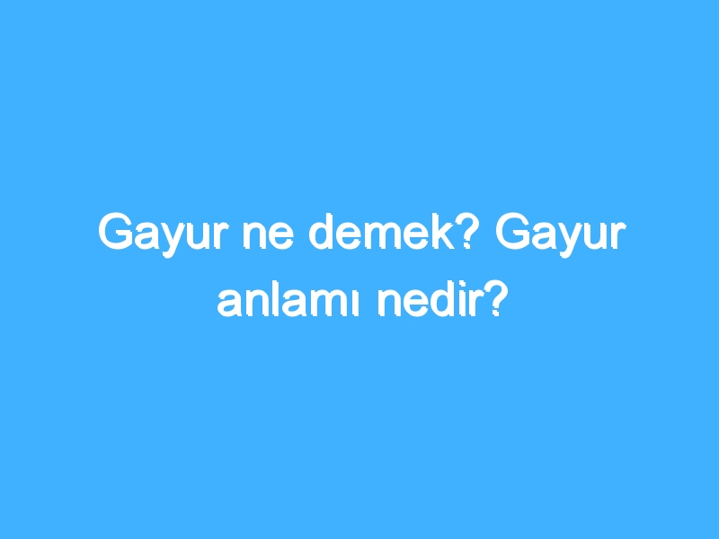Gayur ne demek? Gayur anlamı nedir?