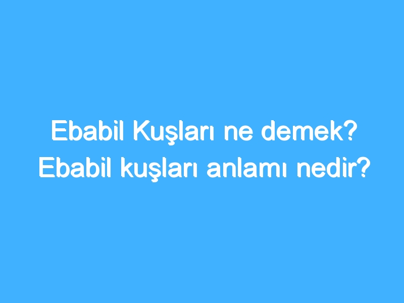 Ebabil Kuşları ne demek? Ebabil kuşları anlamı nedir?