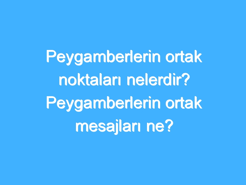 Peygamberlerin ortak noktaları nelerdir? Peygamberlerin ortak mesajları ne?