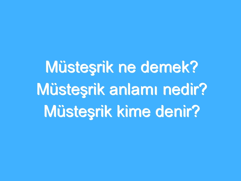 Müsteşrik ne demek? Müsteşrik anlamı nedir? Müsteşrik kime denir?