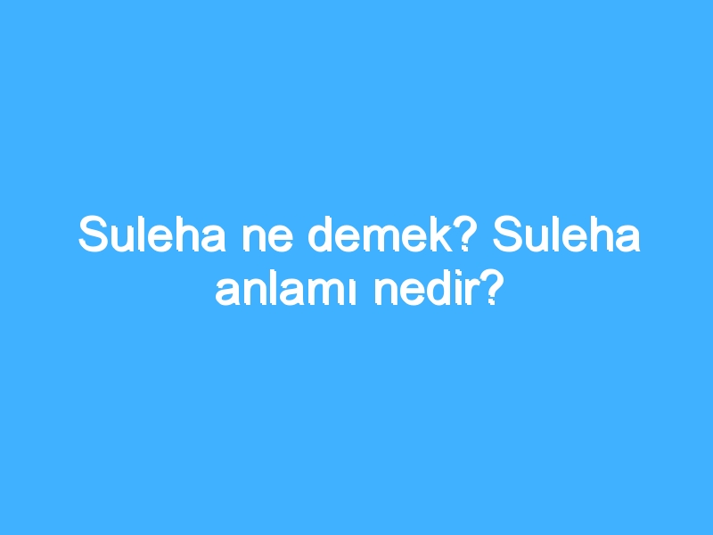 Suleha ne demek? Suleha anlamı nedir?