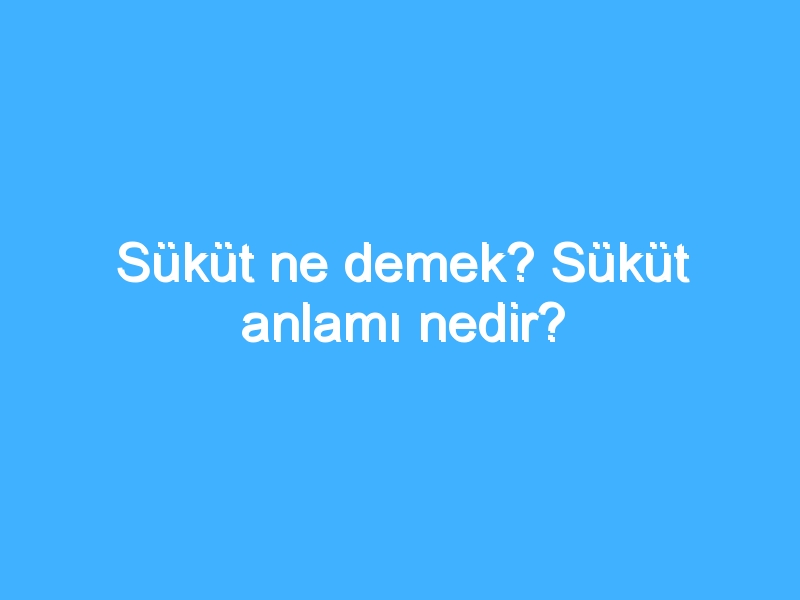Süküt ne demek? Süküt anlamı nedir?