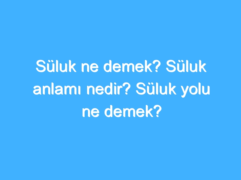 Süluk ne demek? Süluk anlamı nedir? Süluk yolu ne demek?