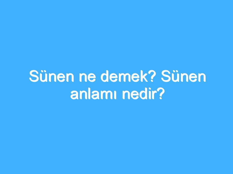 Sünen ne demek? Sünen anlamı nedir?