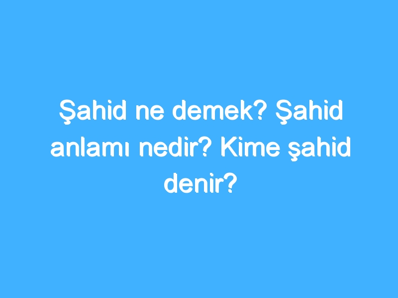Şahid ne demek? Şahid anlamı nedir? Kime şahid denir?