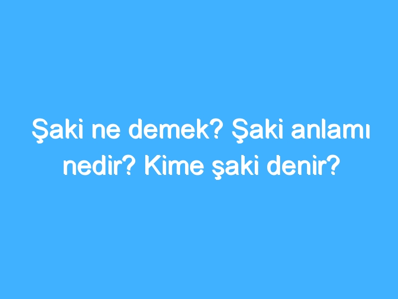 Şaki ne demek? Şaki anlamı nedir? Kime şaki denir?