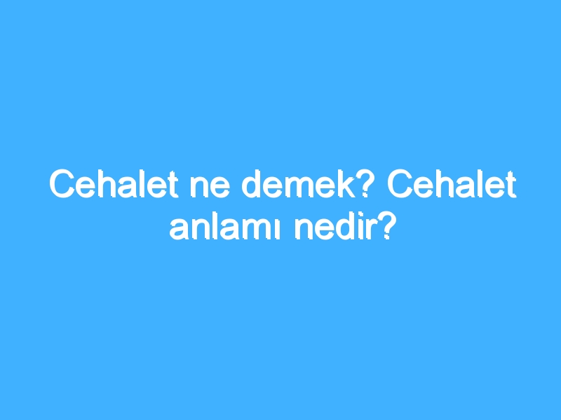Cehalet ne demek? Cehalet anlamı nedir?