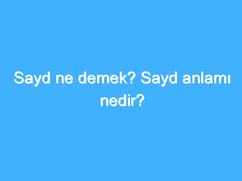 Sayd ne demek? Sayd anlamı nedir?