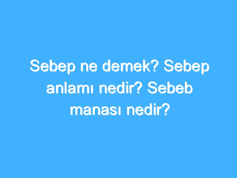 Sebep ne demek? Sebep anlamı nedir? Sebeb manası nedir?