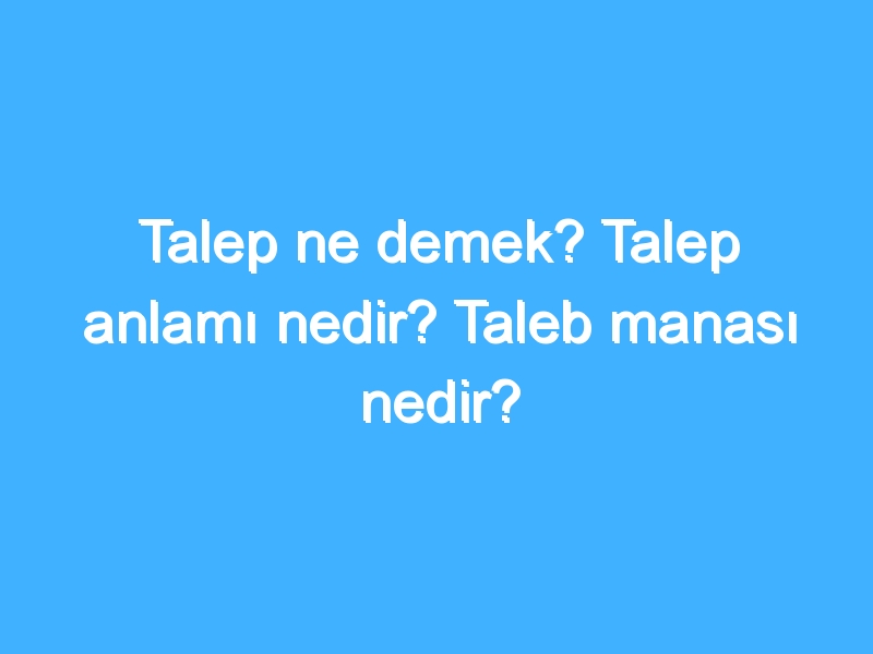 Talep ne demek? Talep anlamı nedir? Taleb manası nedir?