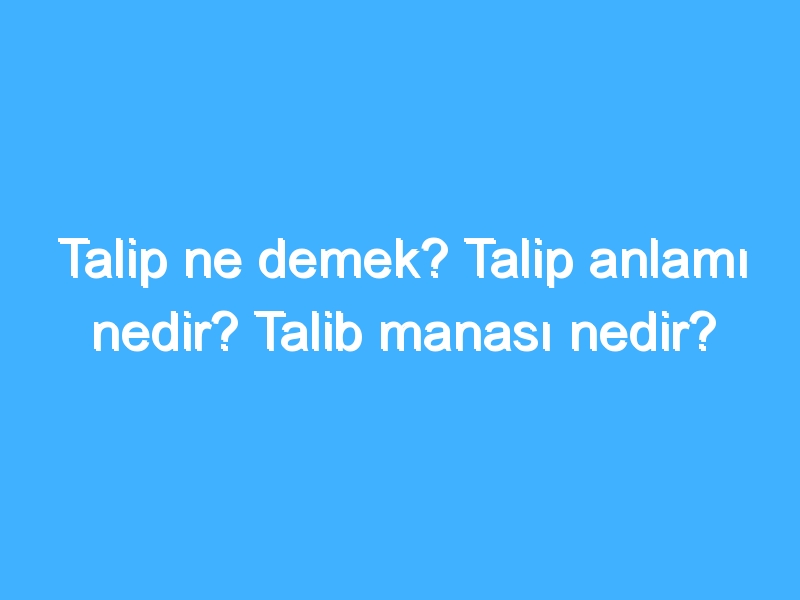 Talip ne demek? Talip anlamı nedir? Talib manası nedir?