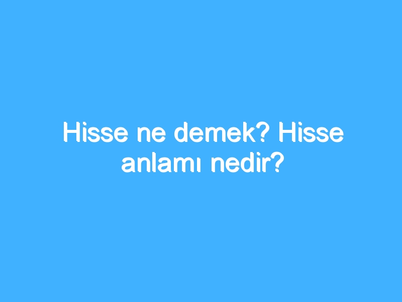 Hisse ne demek? Hisse anlamı nedir?