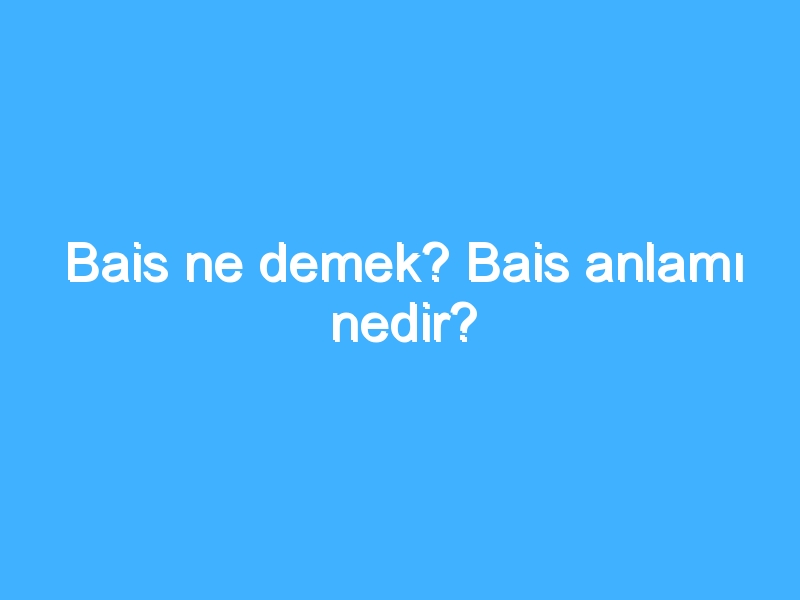Bais ne demek? Bais anlamı nedir?