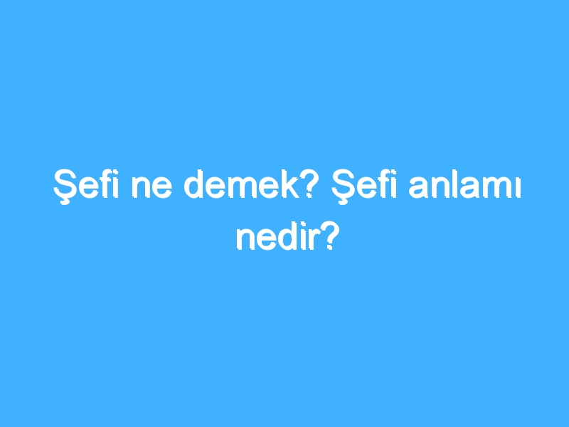 Şefi ne demek? Şefi anlamı nedir?