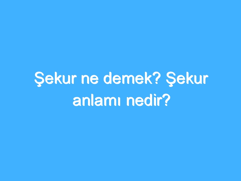 Şekur ne demek? Şekur anlamı nedir?