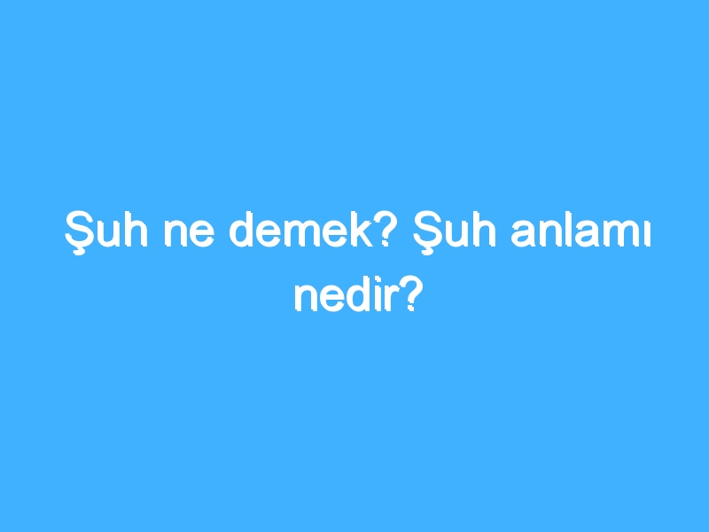 Şuh ne demek? Şuh anlamı nedir?