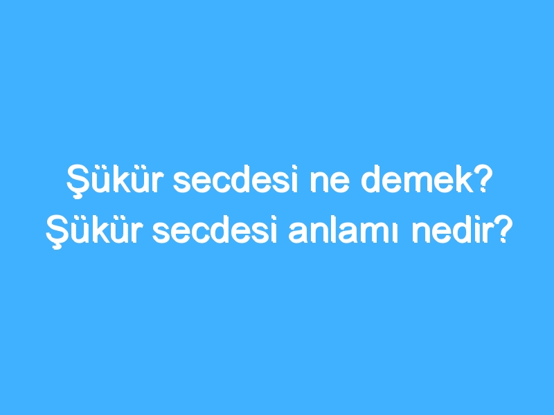 Şükür secdesi ne demek? Şükür secdesi anlamı nedir?
