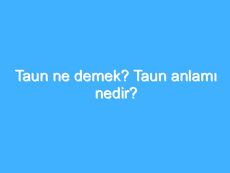 Taun ne demek? Taun anlamı nedir?