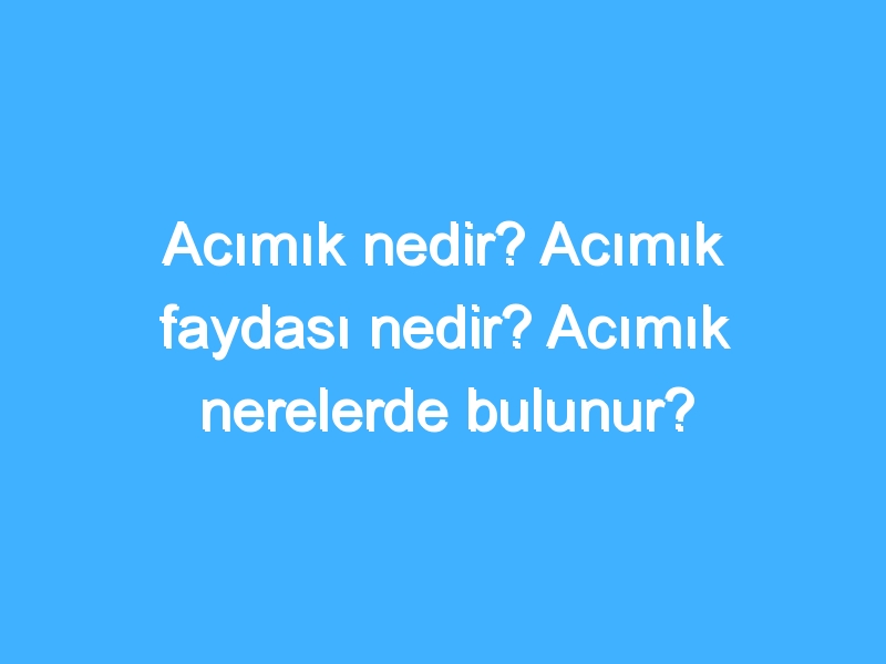 Acımık nedir? Acımık faydası nedir? Acımık nerelerde bulunur?