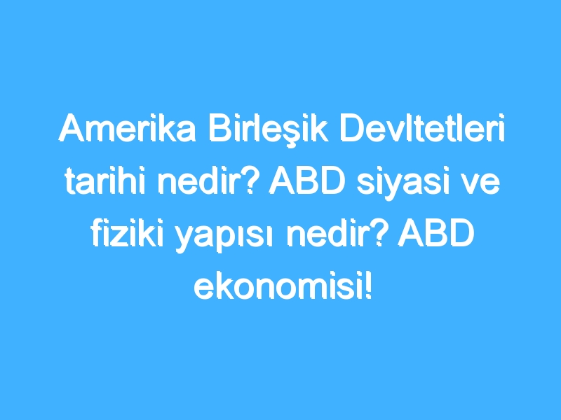 Amerika Birleşik Devltetleri tarihi nedir? ABD siyasi ve fiziki yapısı nedir? ABD ekonomisi!