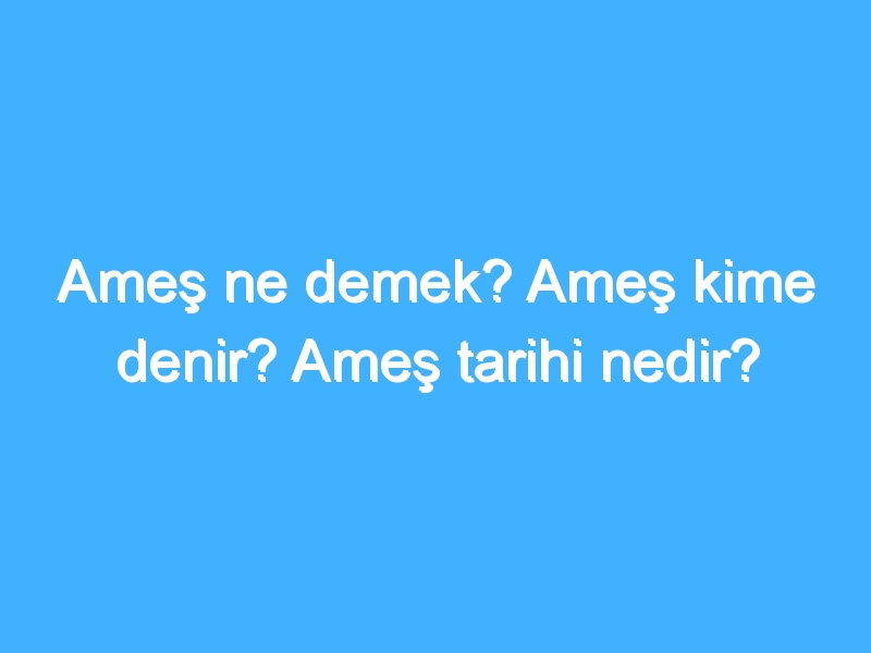 Ameş ne demek? Ameş kime denir? Ameş tarihi nedir?