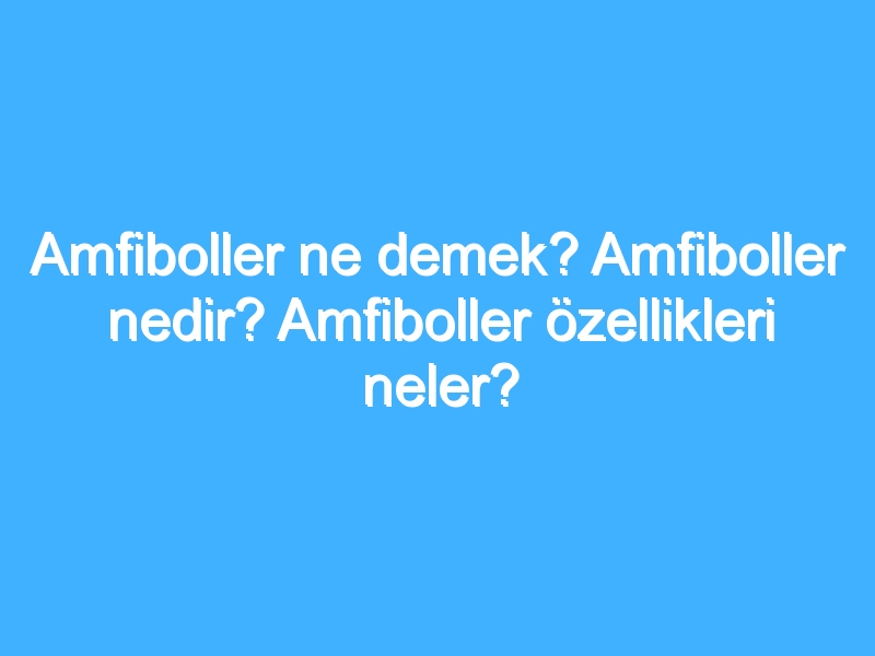 Amfiboller ne demek? Amfiboller nedir? Amfiboller özellikleri neler?
