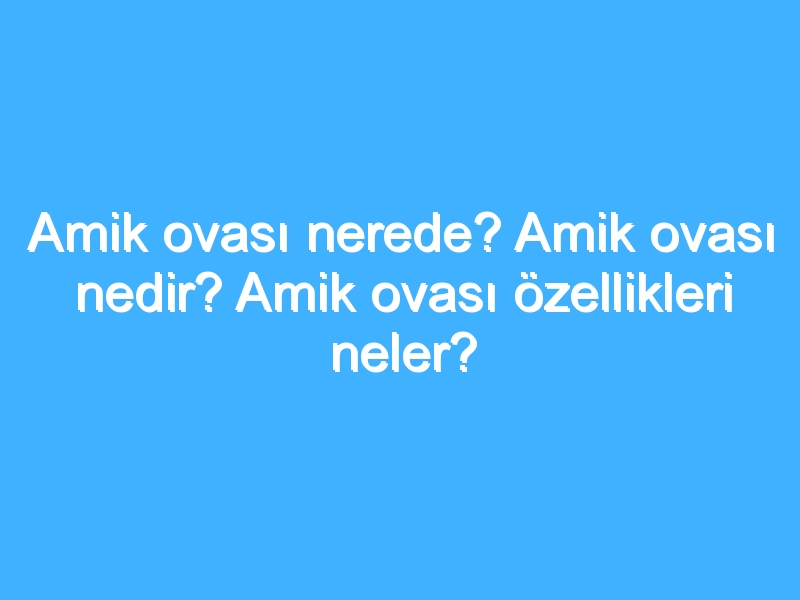 Amik ovası nerede? Amik ovası nedir? Amik ovası özellikleri neler?
