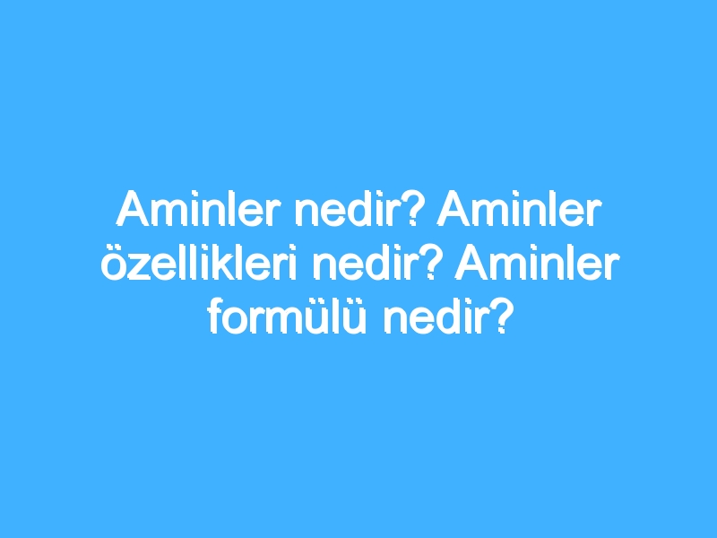 Aminler nedir? Aminler özellikleri nedir? Aminler formülü nedir?