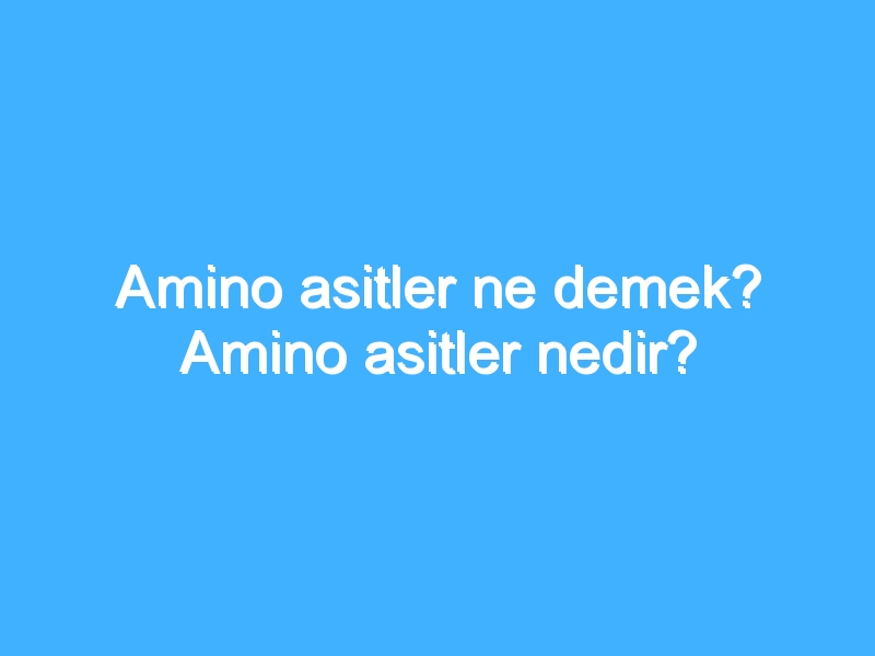 Amino asitler ne demek? Amino asitler nedir?