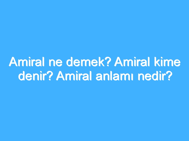 Amiral ne demek? Amiral kime denir? Amiral anlamı nedir?