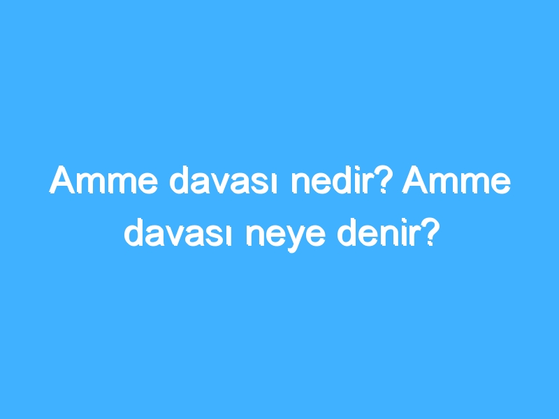 Amme davası nedir? Amme davası neye denir?