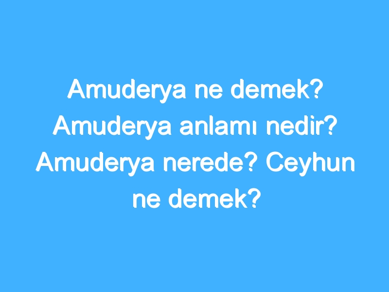 Amuderya ne demek? Amuderya anlamı nedir? Amuderya nerede? Ceyhun ne demek?