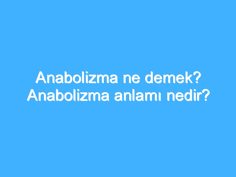 Anabolizma ne demek? Anabolizma anlamı nedir?