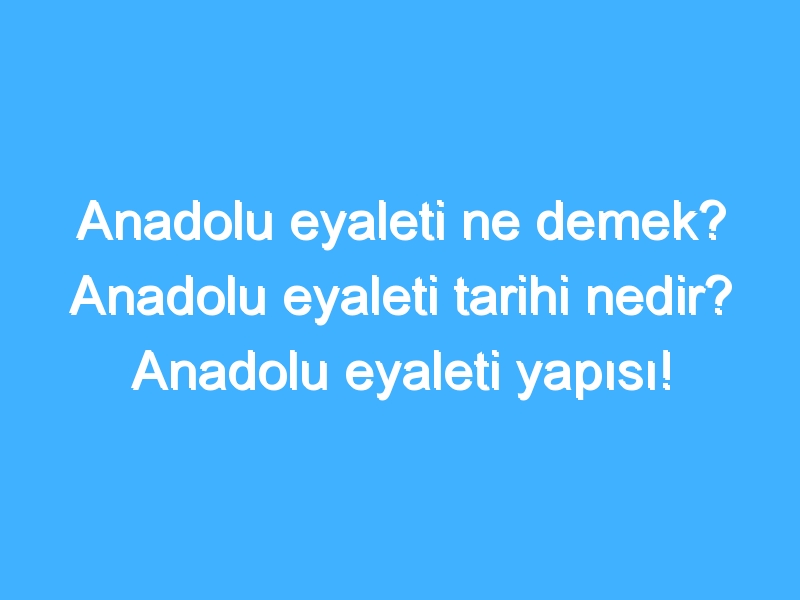 Anadolu eyaleti ne demek? Anadolu eyaleti tarihi nedir? Anadolu eyaleti yapısı!