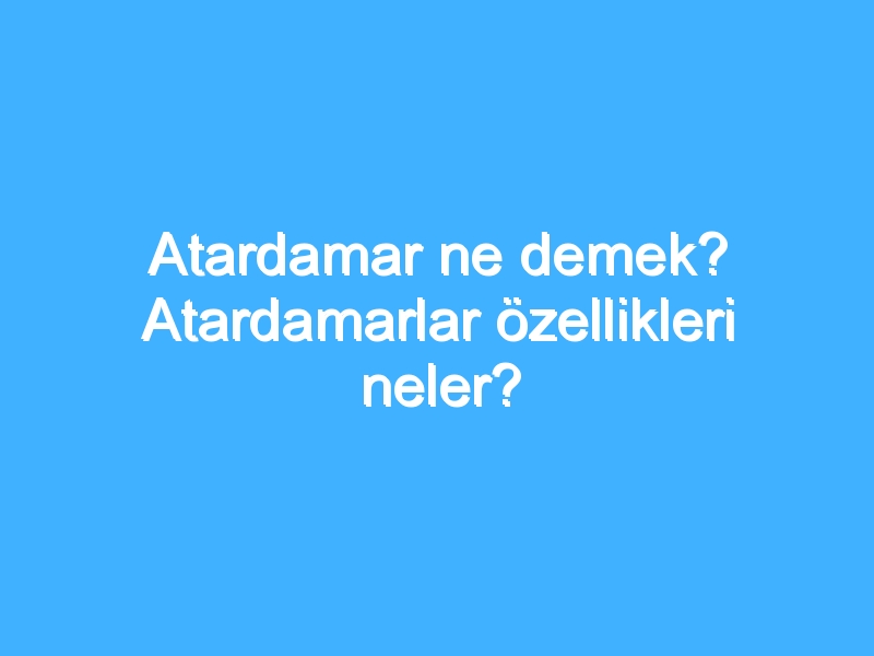 Atardamar ne demek? Atardamarlar özellikleri neler?