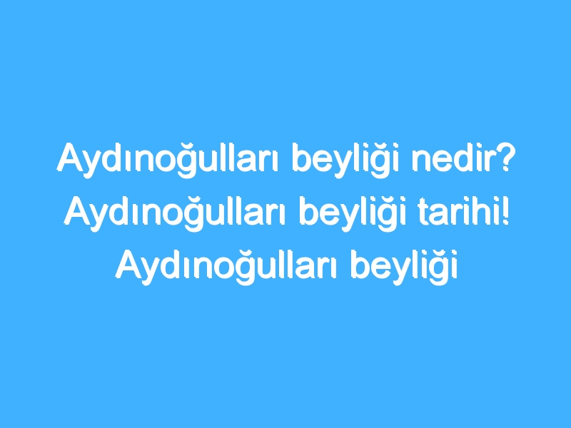 Aydınoğulları beyliği nedir? Aydınoğulları beyliği tarihi! Aydınoğulları beyliği hükümdarları!