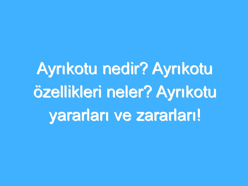 Ayrıkotu nedir? Ayrıkotu özellikleri neler? Ayrıkotu yararları ve zararları!