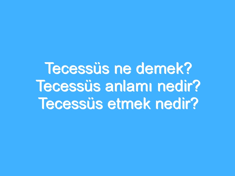 Tecessüs ne demek? Tecessüs anlamı nedir? Tecessüs etmek nedir? 1 Tecessüs ne demek? Tecessüs anlamı nedir? Tecessüs etmek nedir?