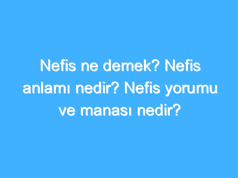 Nefis ne demek? Nefis anlamı nedir? Nefis yorumu ve manası nedir?