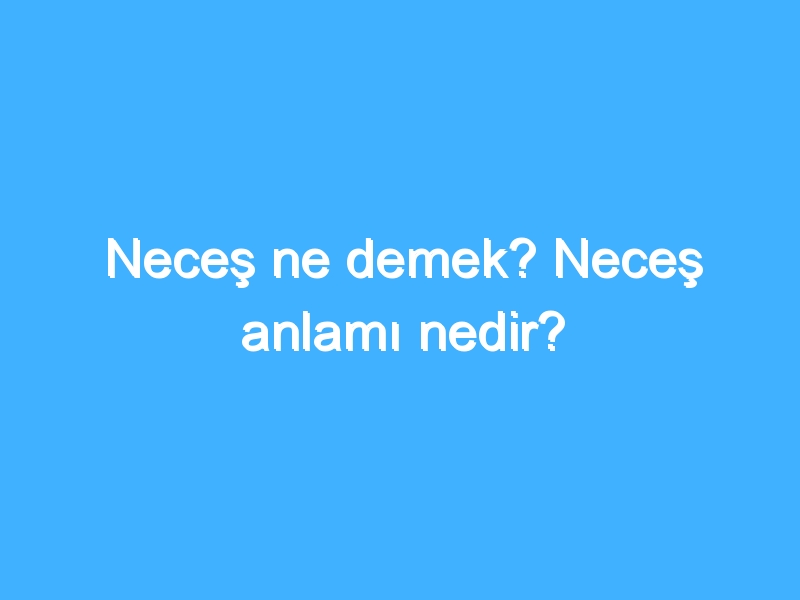Neceş ne demek? Neceş anlamı nedir?